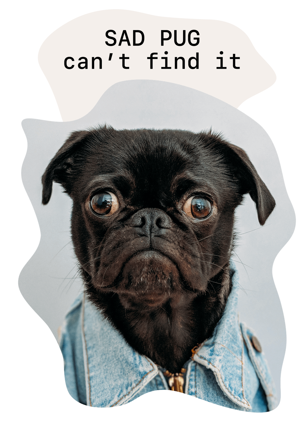 404 Pug could not find the Page